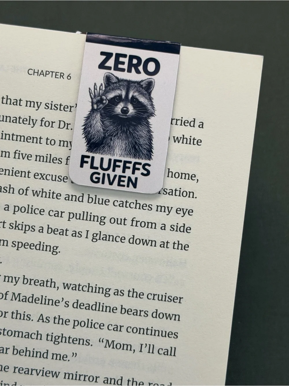 Fun Magnetic Bookmarks